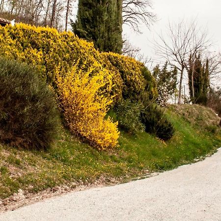 Calmancino Delle Selve Bed and Breakfast Urbino Exteriör bild