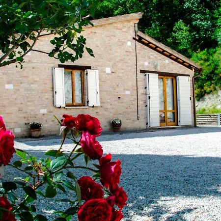 Calmancino Delle Selve Bed and Breakfast Urbino Exteriör bild
