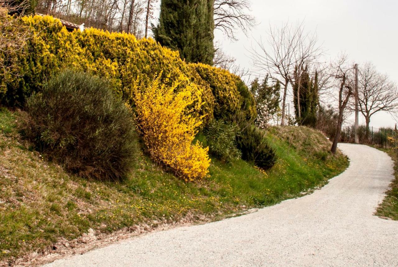 Calmancino Delle Selve Bed and Breakfast Urbino Exteriör bild