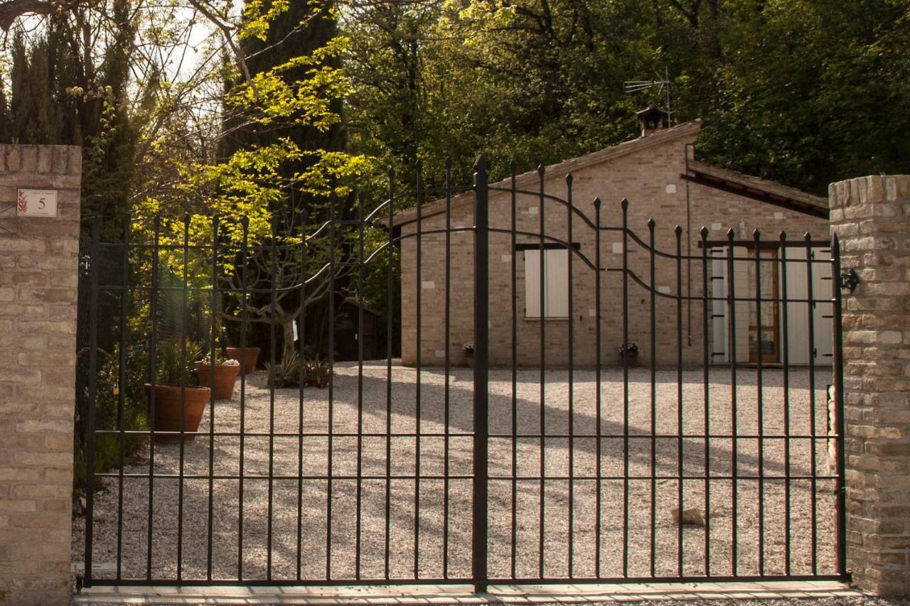 Calmancino Delle Selve Bed and Breakfast Urbino Exteriör bild