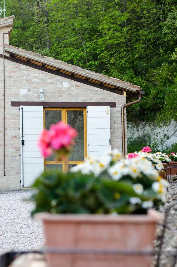 Calmancino Delle Selve Bed and Breakfast Urbino Exteriör bild