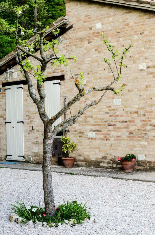 Calmancino Delle Selve Bed and Breakfast Urbino Exteriör bild
