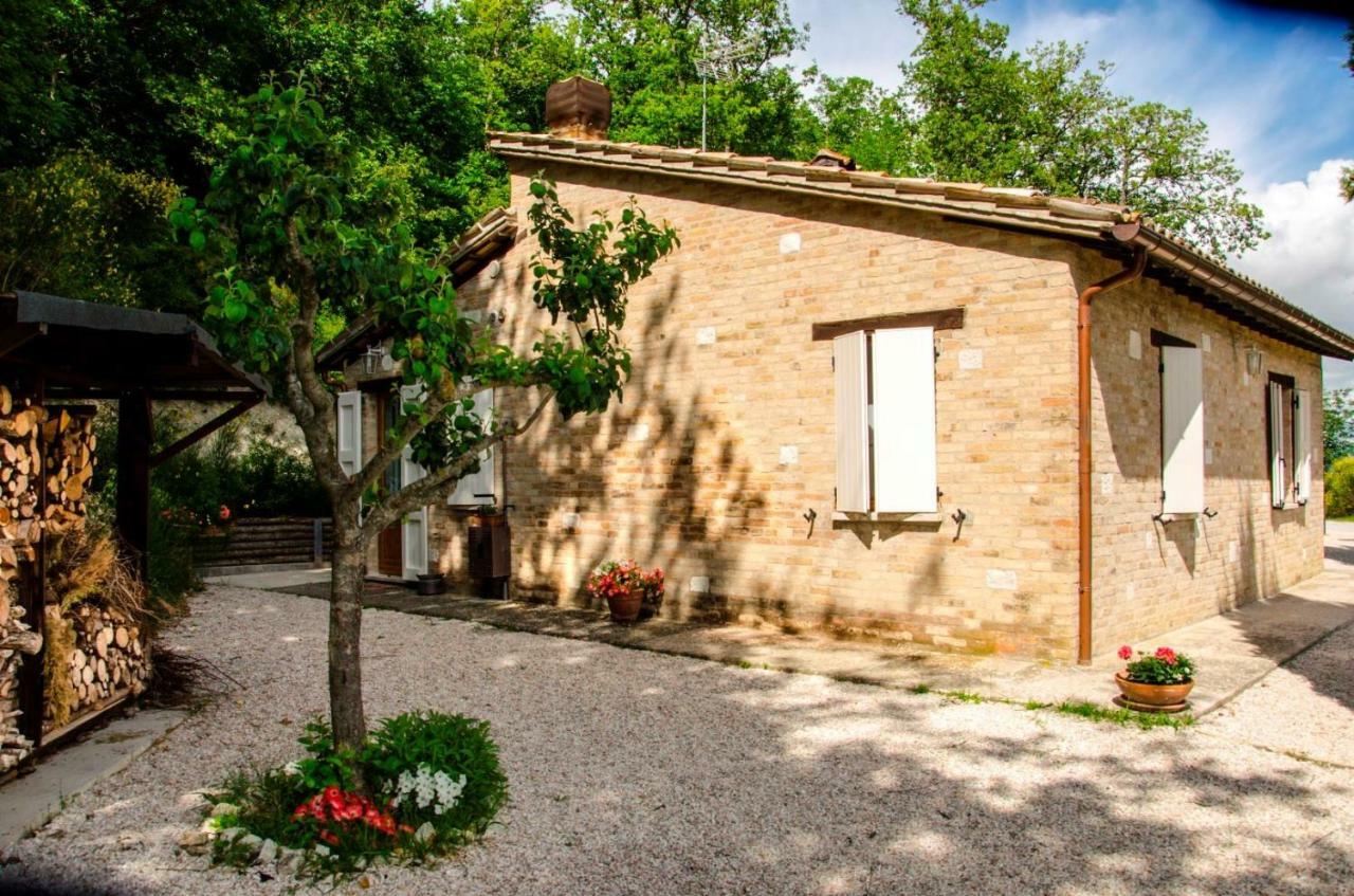 Calmancino Delle Selve Bed and Breakfast Urbino Exteriör bild