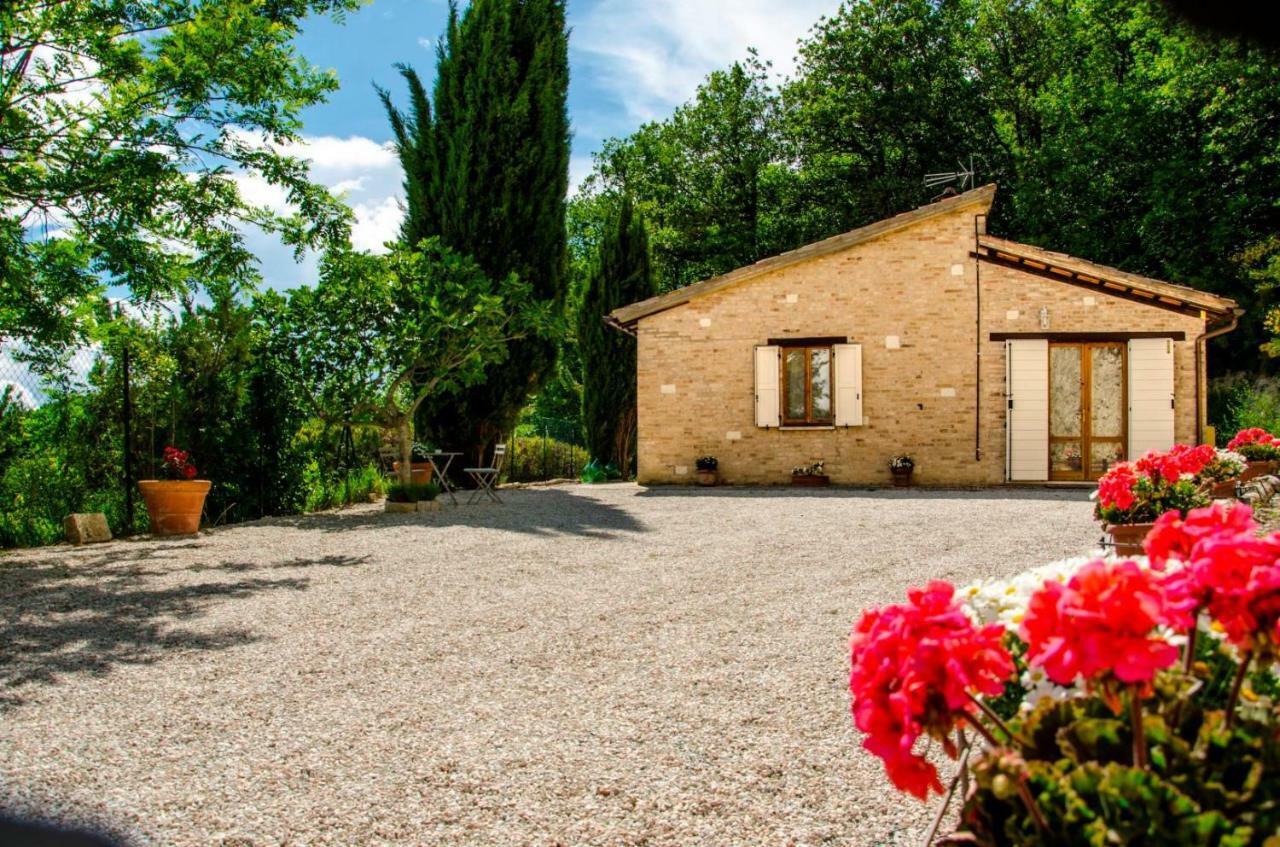 Calmancino Delle Selve Bed and Breakfast Urbino Exteriör bild