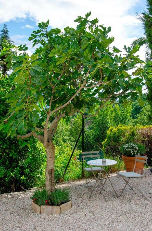 Calmancino Delle Selve Bed and Breakfast Urbino Exteriör bild