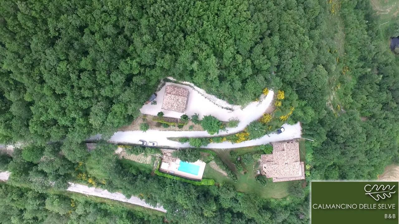 Calmancino Delle Selve Bed and Breakfast Urbino Exteriör bild