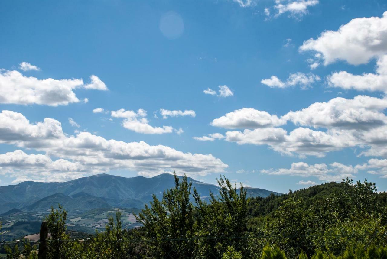 Calmancino Delle Selve Bed and Breakfast Urbino Exteriör bild