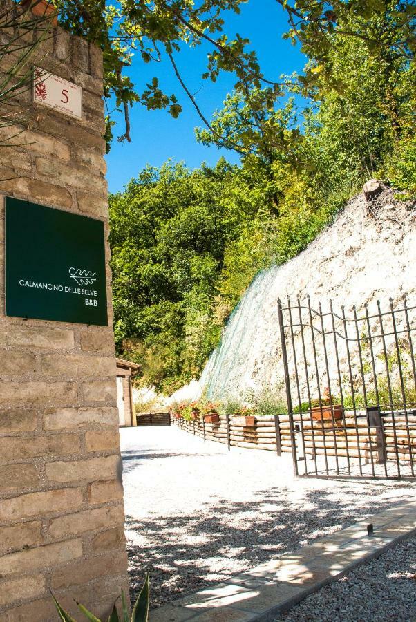 Calmancino Delle Selve Bed and Breakfast Urbino Exteriör bild