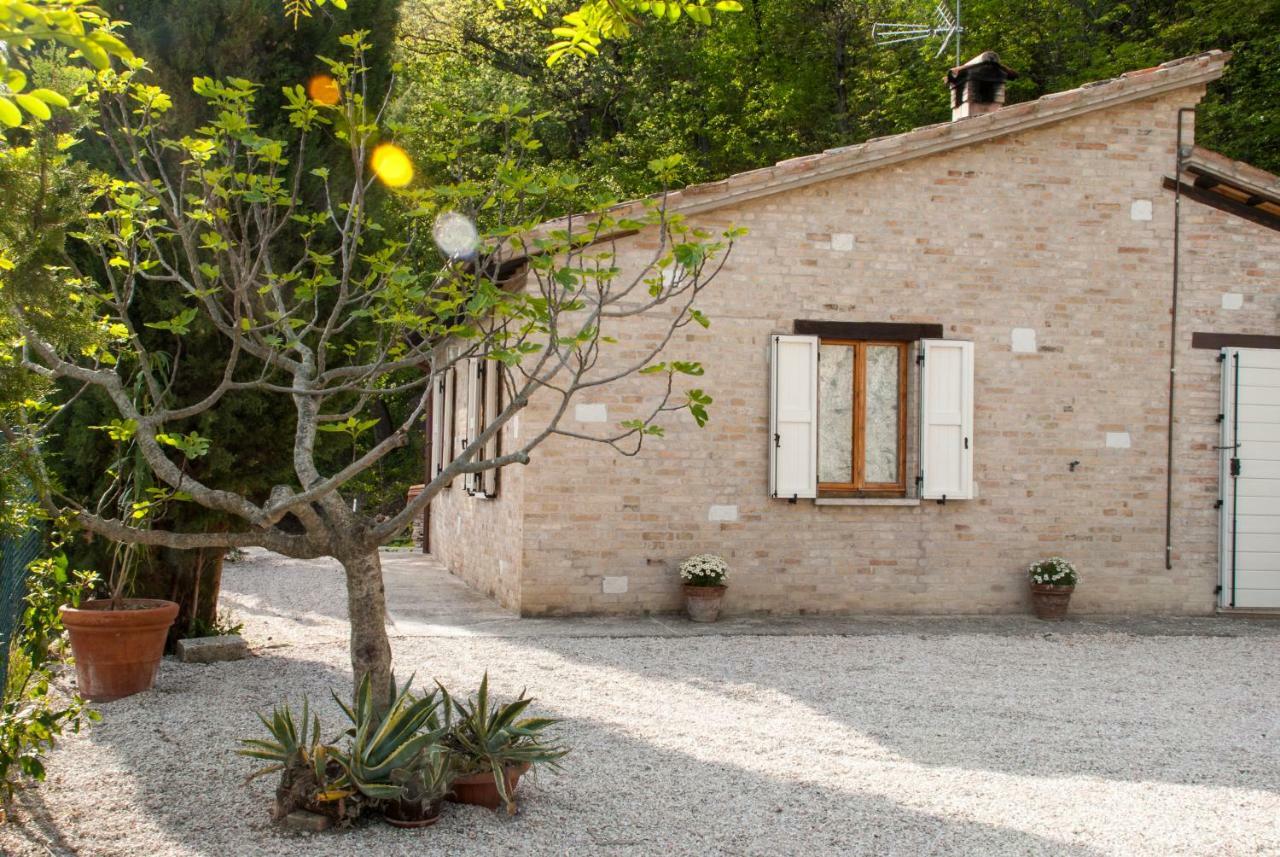 Calmancino Delle Selve Bed and Breakfast Urbino Exteriör bild