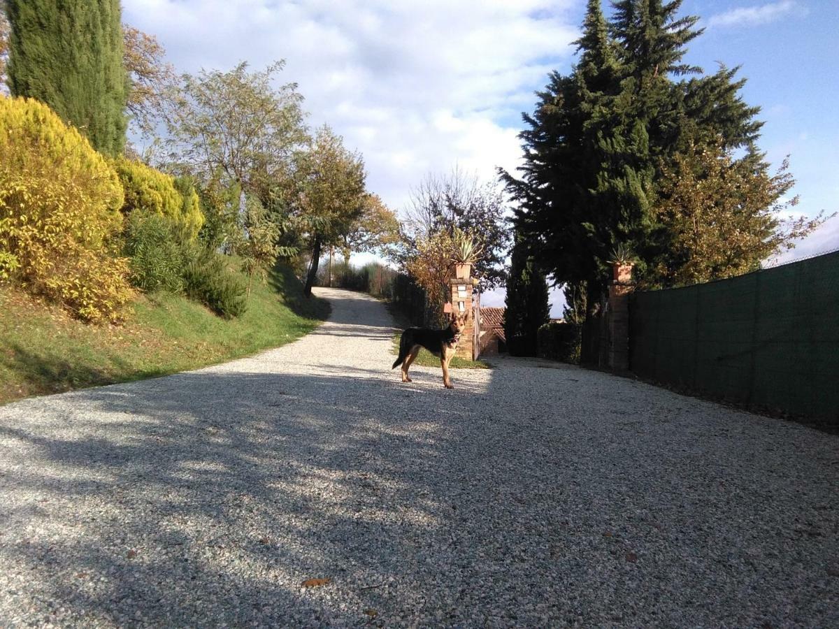 Calmancino Delle Selve Bed and Breakfast Urbino Exteriör bild