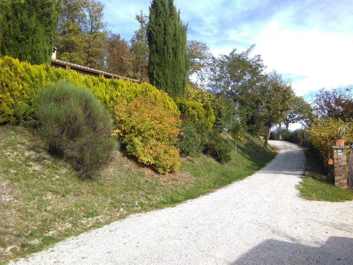 Calmancino Delle Selve Bed and Breakfast Urbino Exteriör bild